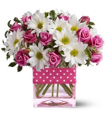 Teleflora's Polka Dots and Posies from Clermont Florist & Wine Shop, flower shop in Clermont